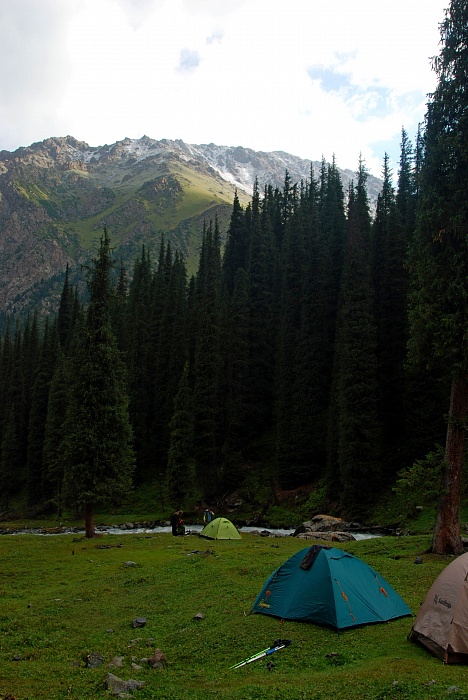 DSC_8401.jpg