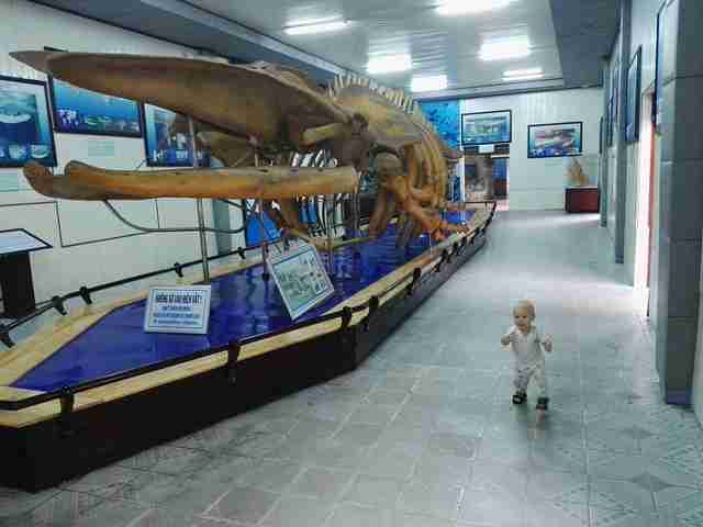 be5af9121963b7cd8575dad849898e62.jpg