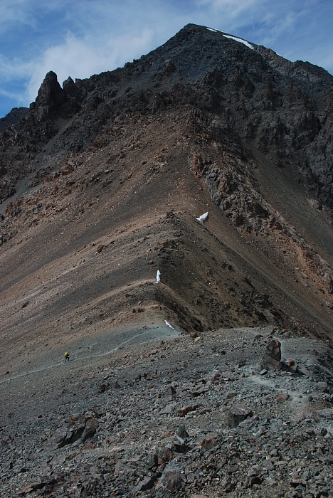DSC_8758.jpg