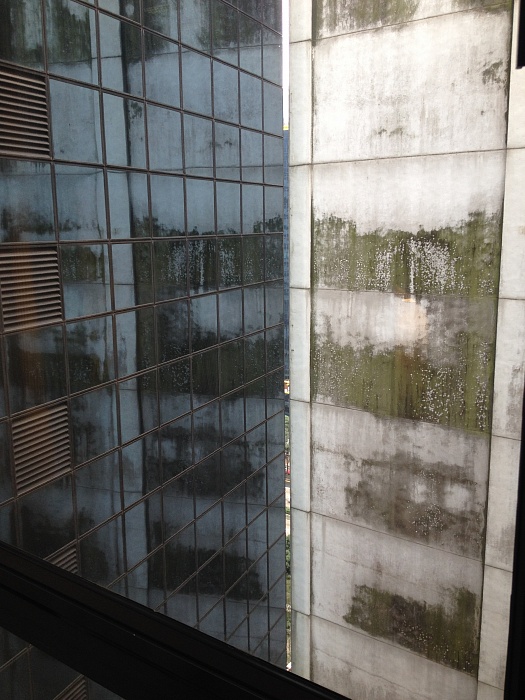 bca7f210789960f19cb906e05fbcef1b.JPG