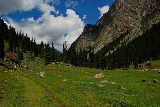 DSC_8442.jpg