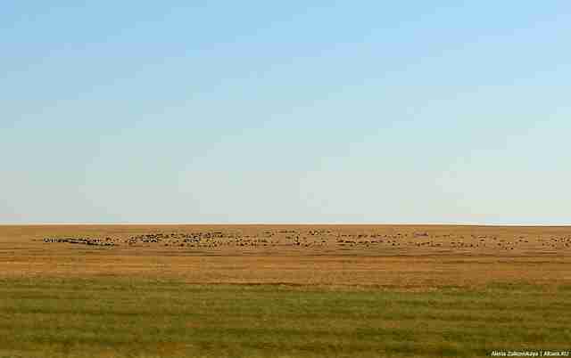 Trip in Russia: от Волгограда до Грозного ec618025f41d16d03e8699ac3f6bbb81.jpg